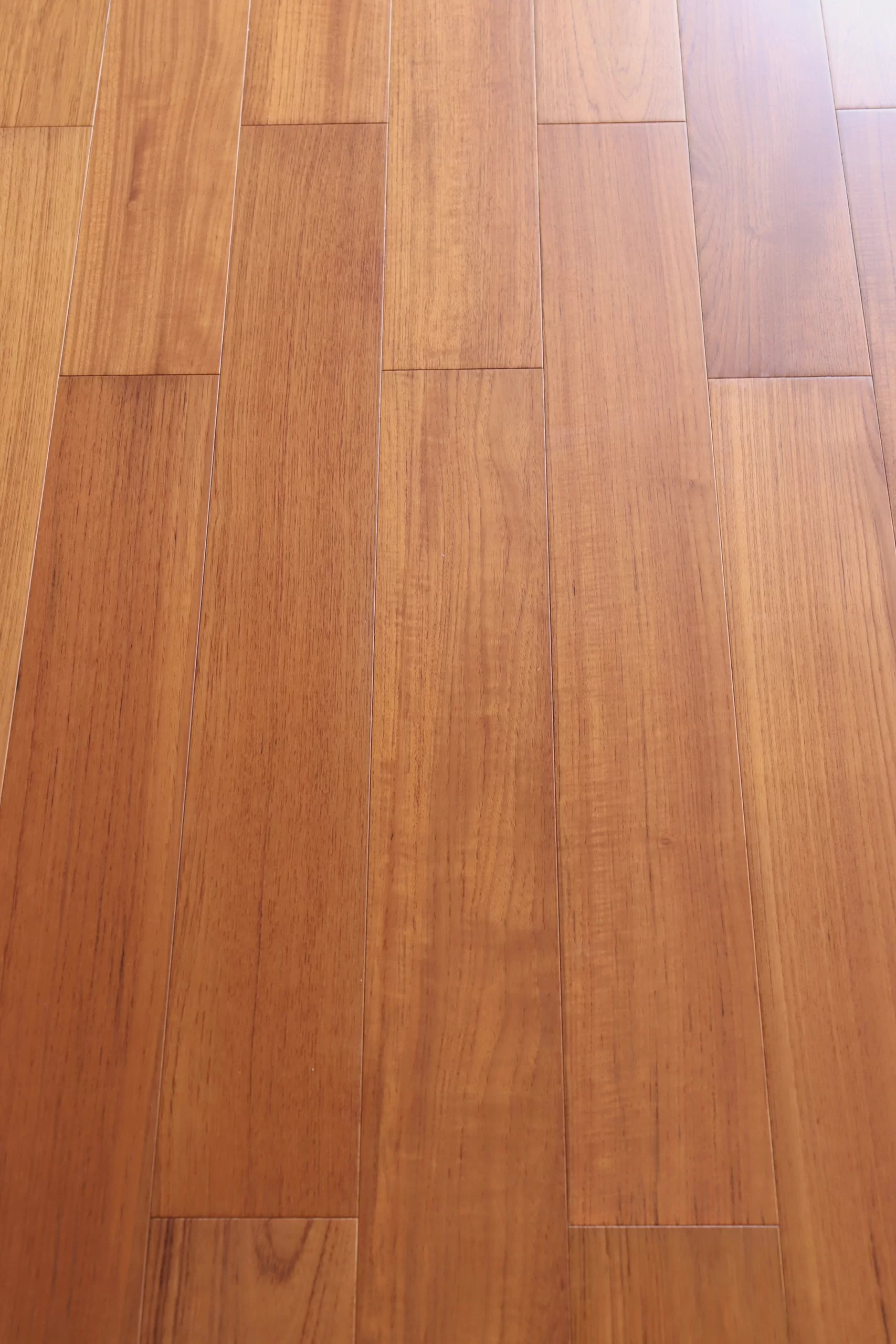 Burma Teak (1)