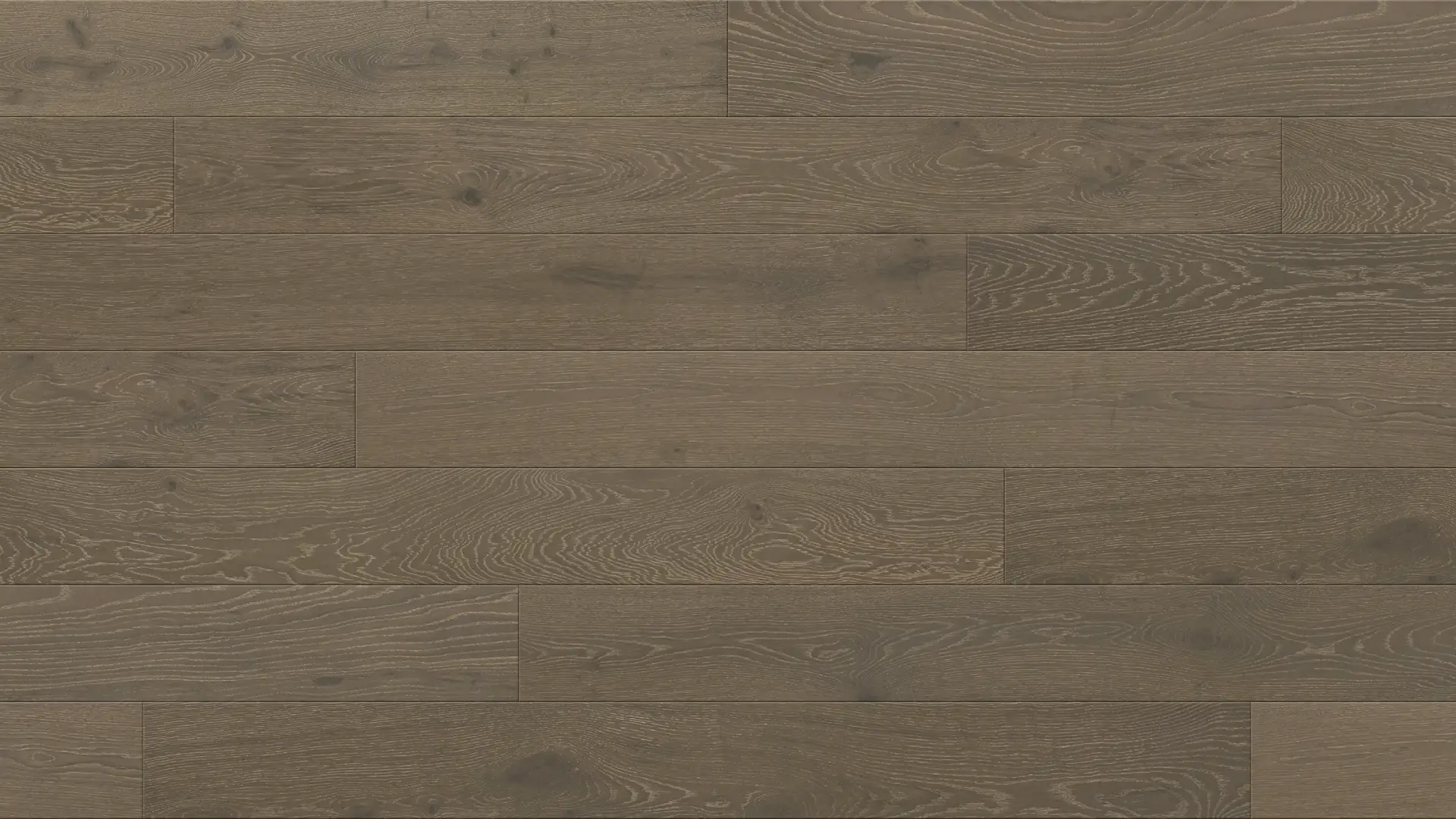 New Project (4)